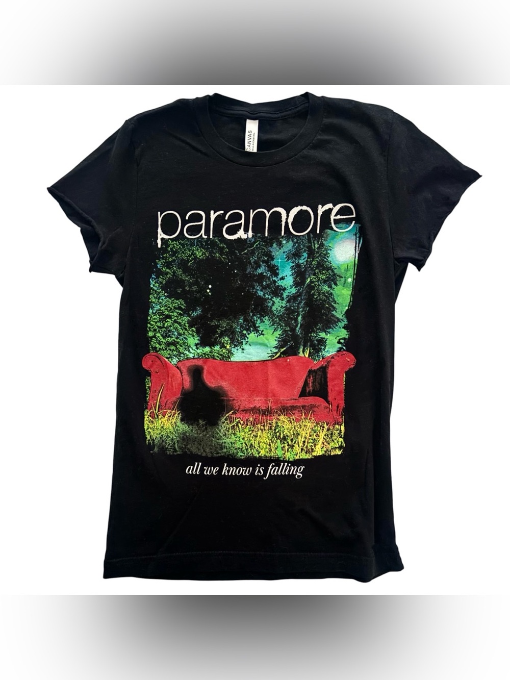 Rare Vintage y2k Paramore graphic tee